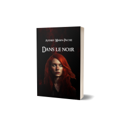 Dans le noir (ebook)
