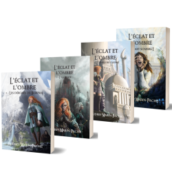 L'éclat et l'ombre T3 - Le temps des choix (broché)